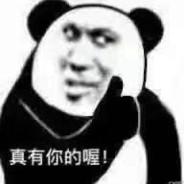 有死之荣无生之辱's Stream profile image