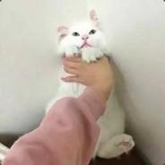 qingkong_666's Stream profile image