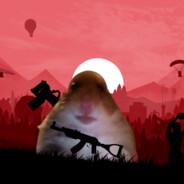 PacoDenboW's Stream profile image