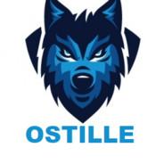 Ostille ツ's Stream profile image