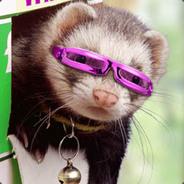 FenrirOz's - Steam avatar