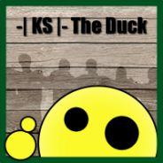 The Duck's Stream profile image