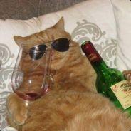 HERISSCIK's Stream profile image