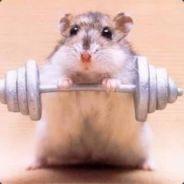 hamster0204's Stream profile image