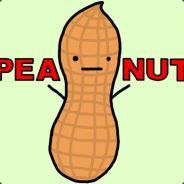 majorpeanut's - Steam avatar