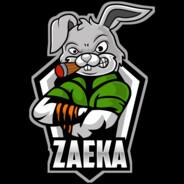 Zaeka's Stream profile image