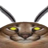 Rasmux's Stream profile image