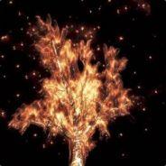 Firetree's Stream profile image