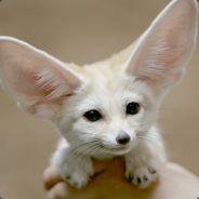 ARBISS | Fettbergg's Stream profile image