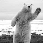 NPBear's - Steam avatar