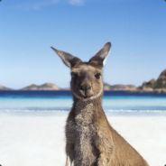 almostraphi's - Steam avatar