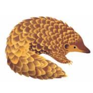 Pangolin_11's - Steam avatar