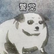 shf_rocket's Stream profile image