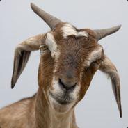 GOAT64's Stream profile image