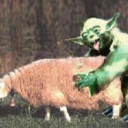 benwenut's Stream profile image