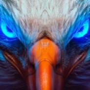 [SiG] Eagle's - Steam avatar