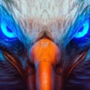 [SiG] Eagle's Stream profile image