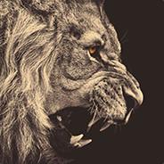 Cor Leonis's - Steam avatar