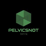 Pelvicsnot's Stream profile image