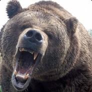 ursus's Stream profile image