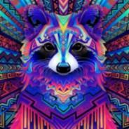 Raccoon5's - Steam avatar