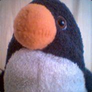 PiGUiN77's Stream profile image