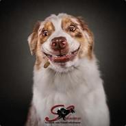 jc261299's Stream profile image