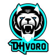 [TWZ] - DHvoro's - Steam avatar