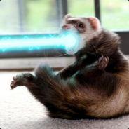 Blue Ferret's - Steam avatar