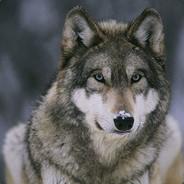 Miroglu's - Steam avatar