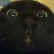 Jasúkaî's Stream profile image