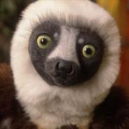 Zoboomafoo's - Steam avatar