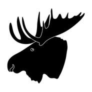 nalle k's Stream profile image