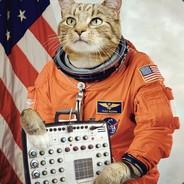 LazerChaser's Stream profile image