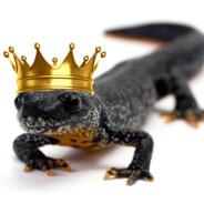 MajesticNewt's Stream profile image