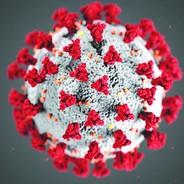 CoronaVirus's - Steam avatar