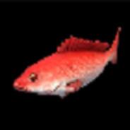 Red Snapper's Stream profile image