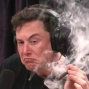 TechnoGod Lord Emperor Elon Musk's - Steam avatar