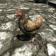 Sergeant Poultry's - Steam avatar