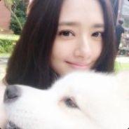 AI(DeepLearning)'s Stream profile image