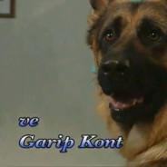 VE GARİP KONT's Stream profile image