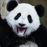 Boogie's Stream profile image