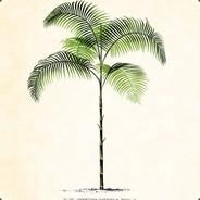 kann021's - Steam avatar