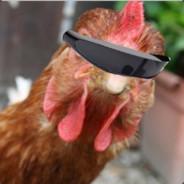 Kipcorn74's Stream profile image