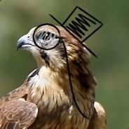 Doctor Falkenstein™'s Stream profile image