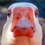 Goose of your dream's Stream profile image