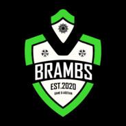 Brambs's Stream profile image