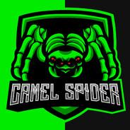 Camel Spider's Stream profile image