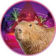 capybara's Stream profile image