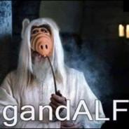 gandALF's - Steam avatar